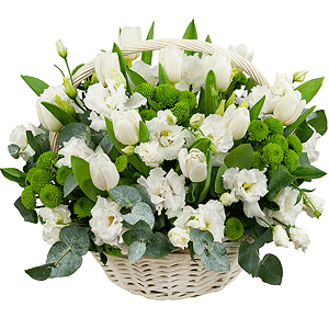 Snowdrops with delivery Astrakhan