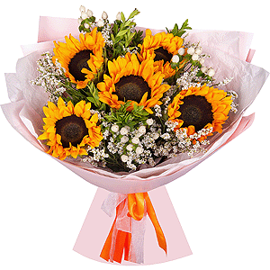 Sunny Mood with delivery Astrakhan