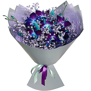 Midnight Magic with delivery Astrakhan