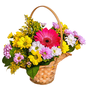 Gerbera pink - 2, Bacardi White Spray Chrysanthemum - 2, Bacardi Yellow Spray Chrysanthemum - 1, Bacardi Pink Spray Chrysanthemum - 1, Small Basket, Oasis, Solidago (1 pc.), Salal
