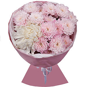 Magical Moments with delivery Astrakhan