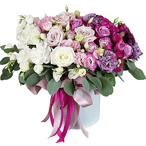 Euphoria with delivery Astrakhan