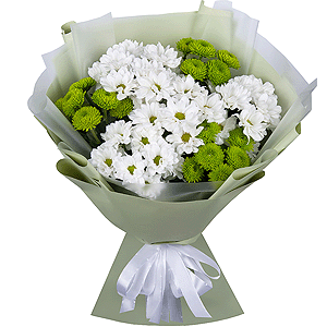 Chrysanthemums Waltz with delivery Astrakhan