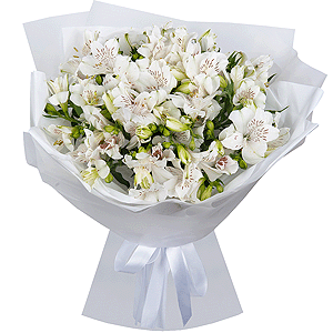 Snow White Dreams with delivery Astrakhan