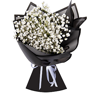 Black and White Classic with delivery Astrakhan