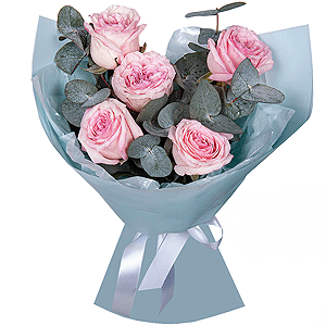Angel's Tenderness with delivery Astrakhan