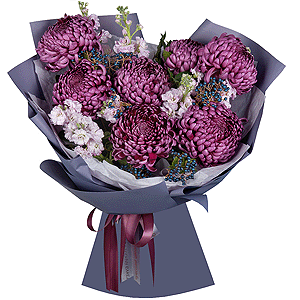 Chrysanthemum Bigoudi purple - 11, Matthiola Lilac - 3, Viburnum, Wrapping Paper