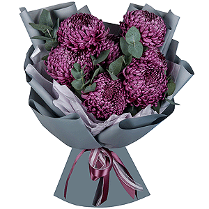 Chrysanthemum Bigoudi purple - 9, Eucalyptus, Wrapping Paper
