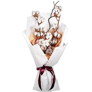Cotton branch, Wrapping Paper, Artificial branch