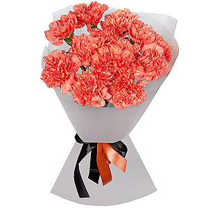 Orange carnation - 17, Wrapping Paper