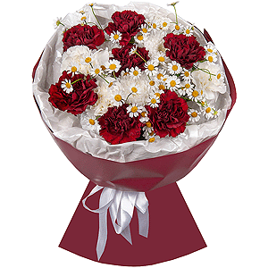 Baltica White Spray Chrysanthemum - 1, Carnation red - 19, Chamomile - 2, Wrapping Paper