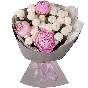Peony pink - 3, Newton White Spray Chrysanthemum - 5, Wrapping Paper