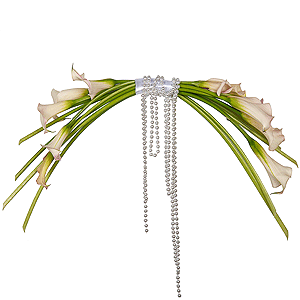 Pearl Harp with delivery Astrakhan