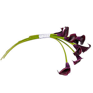 Burgundy Calla Lily - 15, Ribbon