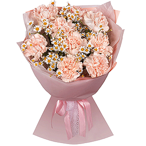 Carnation white, cream - 15, Chamomile - 6, Wrapping Paper