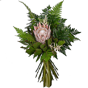 Fern Blossom with delivery Astrakhan