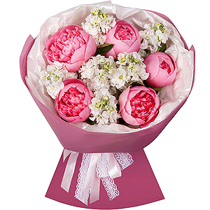 Peony pink - 5, White Matthiola - 12, Wrapping Paper