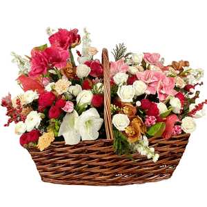 The Magnificent with delivery Astrakhan