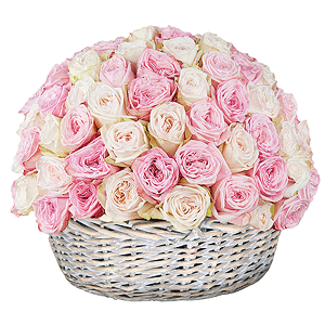 Peony style roses - 131, Large Basket, Oasis