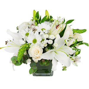 Purity of the senses with delivery Astrakhan