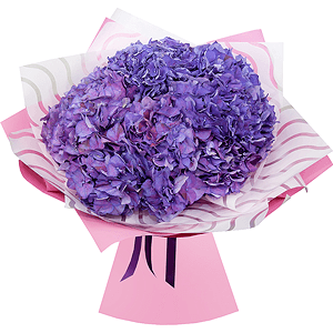 Blue/purple hydrangea - 9, Wrapping Paper
