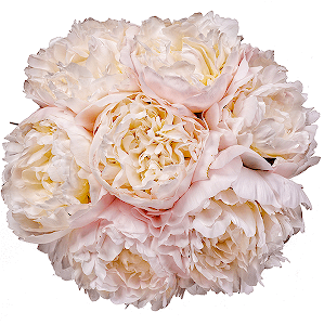 Soft Moments with delivery Astrakhan