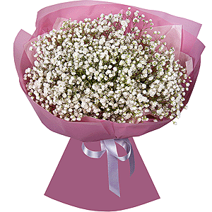 My star with delivery Astrakhan