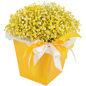 Golden Sands with delivery Astrakhan