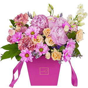 Powdery dreams with delivery Astrakhan