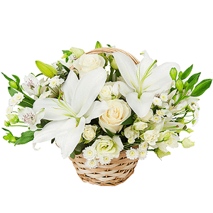 Lovebirds with delivery Astrakhan