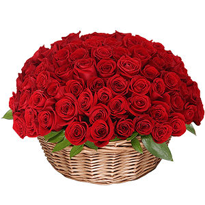 Basket of 101 red roses with delivery Astrakhan