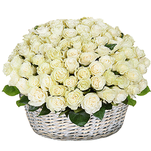Basket of 101 white roses with delivery Astrakhan