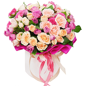 Colorful drops with delivery Astrakhan