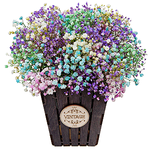Candy with delivery Astrakhan