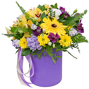 Sunbeams with delivery Astrakhan