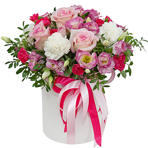 Darling with delivery Astrakhan