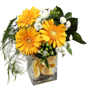 Imagination with delivery Astrakhan