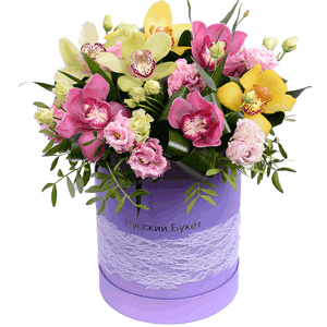 Pink Cymbidium Orchid Bud - 5, Pink Lisianthus (Eustoma) - 9, Orchid bud yellow/brown Cymbidium - 3, Green Cymbidium Orchid Bud - 3, Round flower box medium, Oasis, Aspidistra (1 pc.), Flask for orchids, Pistachio, Ribbon