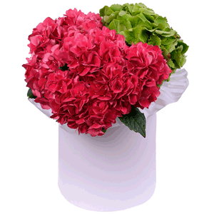 Strawberry souffle with delivery Astrakhan