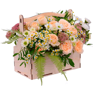 Summer history with delivery Astrakhan