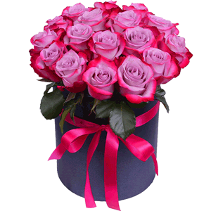 Violet roses with delivery Astrakhan
