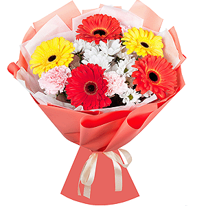 Gerbera daisies - 3, Bacardi White Spray Chrysanthemum - 3, Pink carnation - 5, Gerbera yellow - 3, Gerbera red - 3, Wrapping Paper, Ribbon