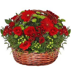 Red rose 50 cm - 11, Gerbera red - 7, Bacardi Red Spray Chrysanthemum - 6, Athos pom Feeling Green - 4, Hypericum, Pistachio, Ruscus, Large Basket, Oasis
