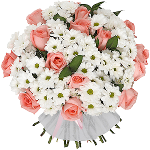 Provence Aroma Luxe with delivery Astrakhan
