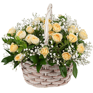 Rose garden with delivery Astrakhan