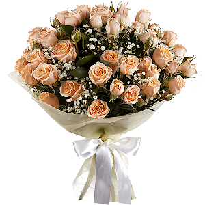 Wonderful Start with delivery Astrakhan