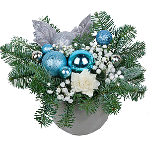Magic Winter with delivery Astrakhan