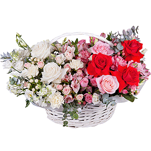 Tender touch with delivery Astrakhan