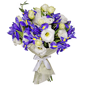 Sea Motive Luxe with delivery Astrakhan