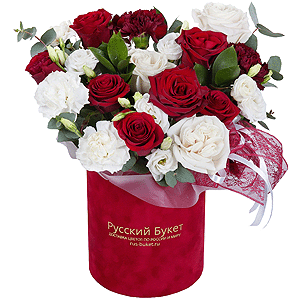 Passionate Romance with delivery Astrakhan